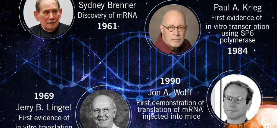 Nobel Prize in the field of medicine for developers of mRNA technology?