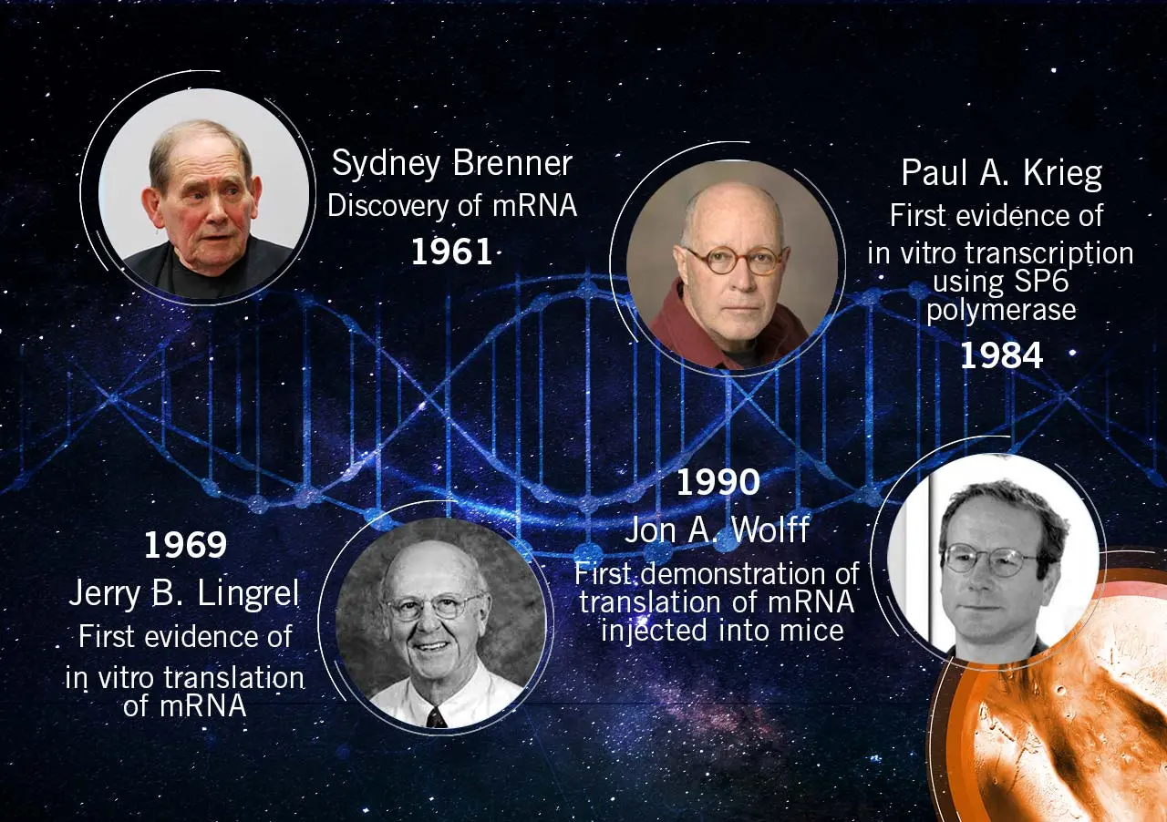 Nobel Prize in the field of medicine for developers of mRNA technology?