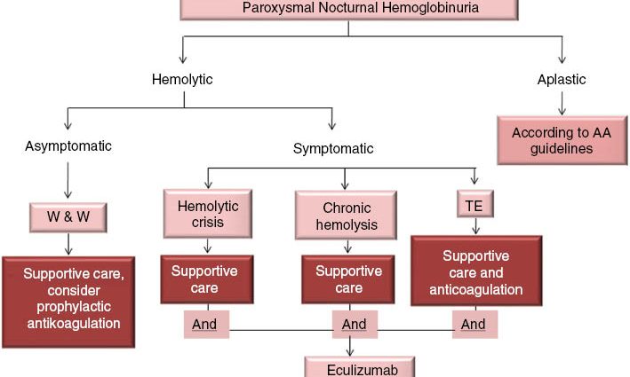 Nocturnal paroxysmal hemoglobinuria &#8211; causes, symptoms, treatment