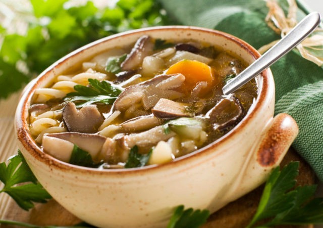 Noodle soup with porcini mushrooms: delicious cooking recipes