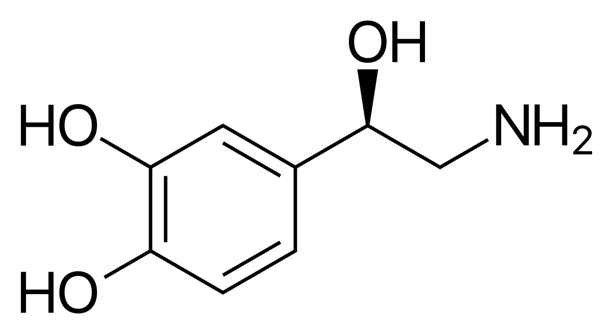 norepinephrine