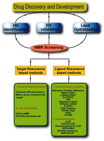 Nuclear Magnetic Resonance &#8211; A Breakthrough in Drug Research