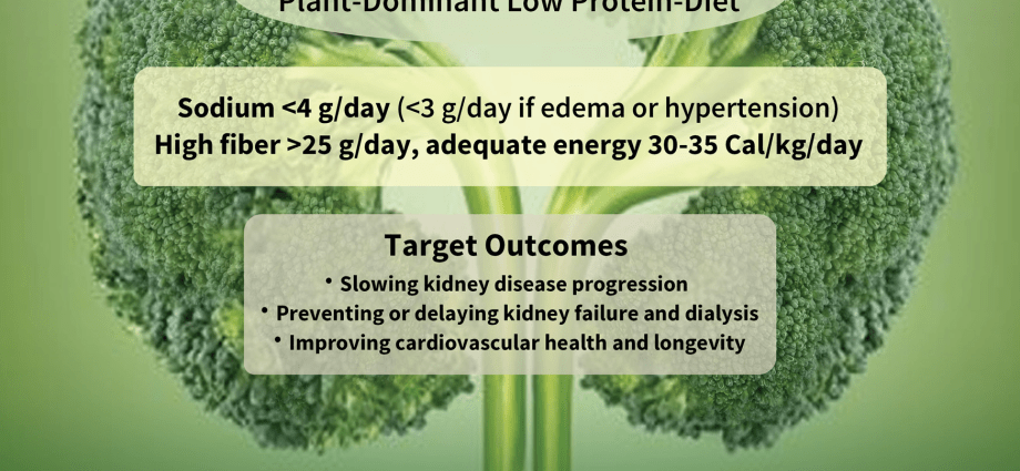 Nutritionists: the nutritional rate per patient is horribly low