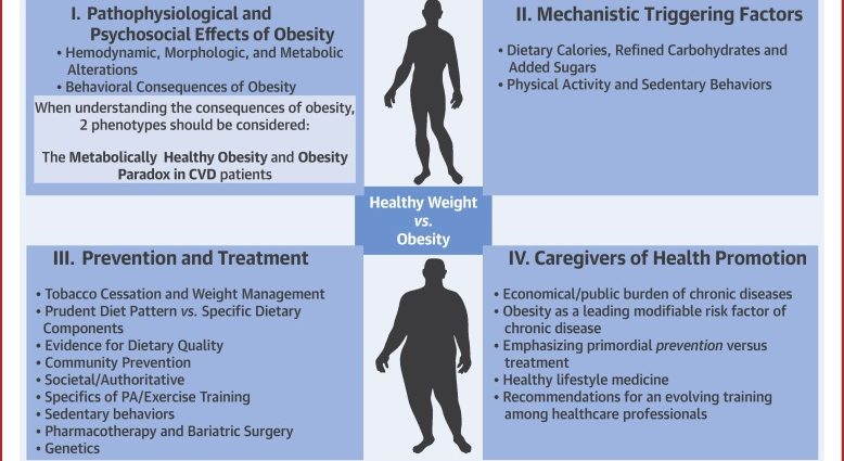 Obesity &#8211; causes, impact on health, treatment. Prevention of obesity in children and adults