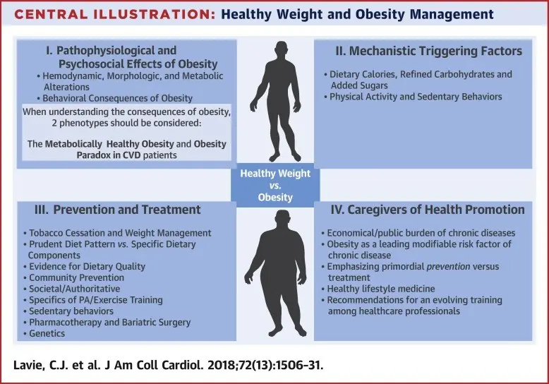 Obesity &#8211; causes, impact on health, treatment. Prevention of obesity in children and adults