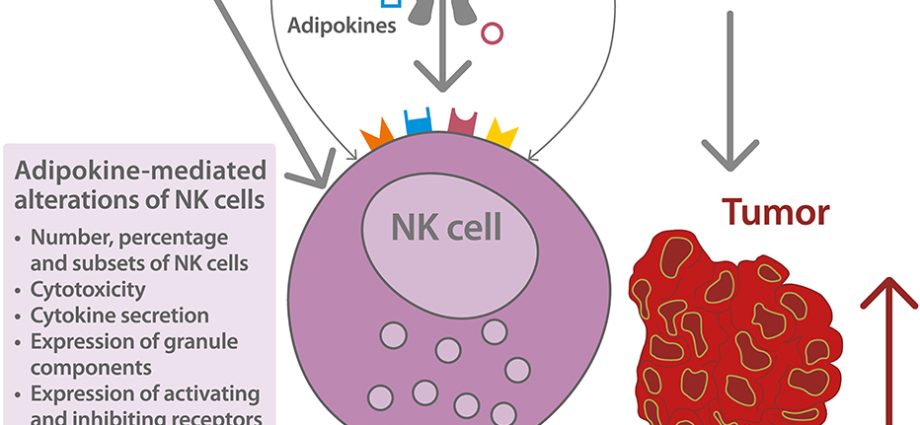 Obesity contributes to potency problems