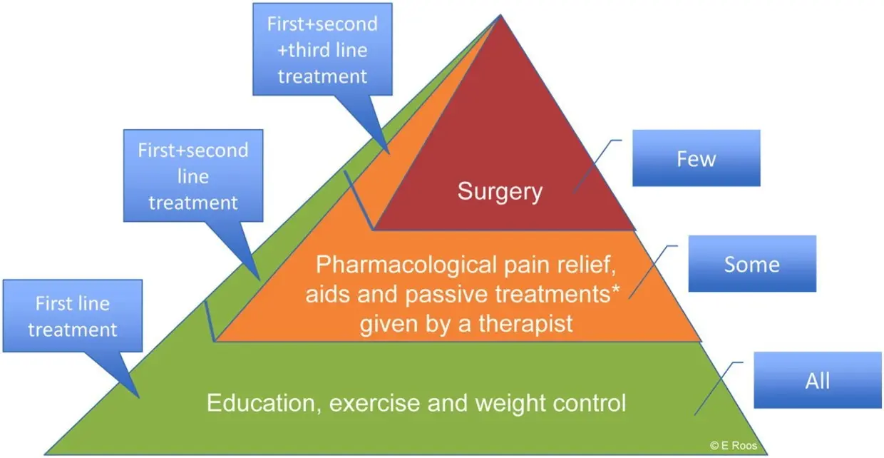 Odnovit for osteoarthritis. How long should you use?