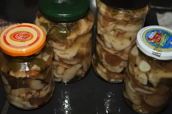 Oil preservation: homemade recipes