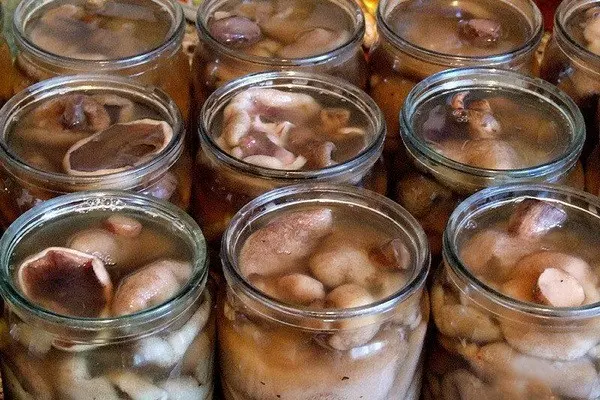 Oil preservation: homemade recipes