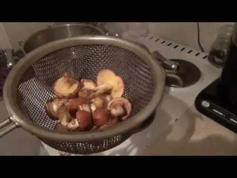 Oil processing: how to clean mushrooms