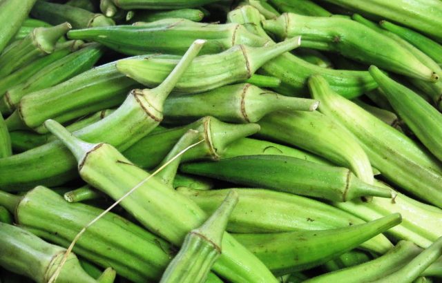 Okra: what is this vegetable, useful properties and contraindications