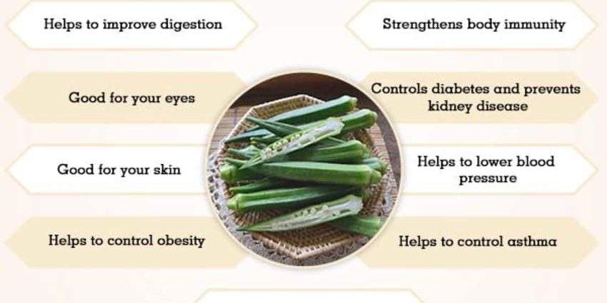 Okra: what is this vegetable, useful properties and contraindications