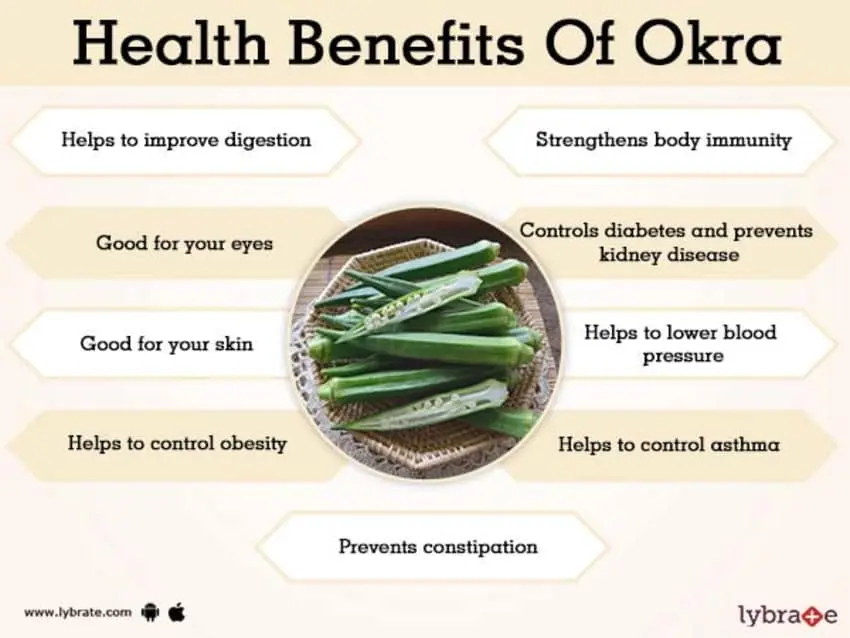 Okra: what is this vegetable, useful properties and contraindications