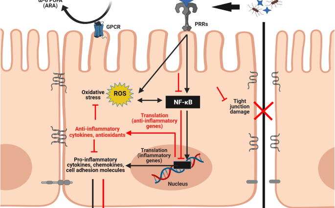 Omega-3 fatty acids protect the gums against inflammation