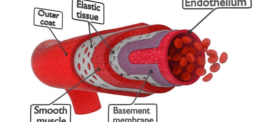 Omega-3 fatty acids reduce arterial stiffness