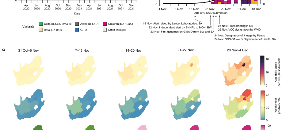 Omicron is crazy about South Africa. The increase in new cases is dramatic &#8211; they have doubled in a day