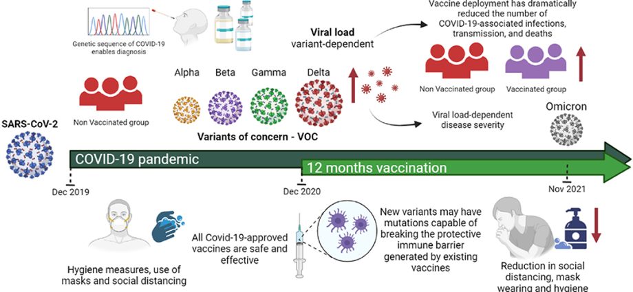 Omicron spread to asymptomatic? New research sheds light on the transmission of the virus