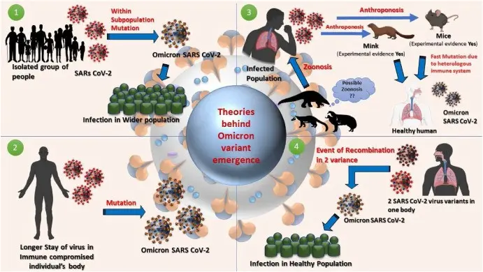 Omicron was not created in the human body? New facts on the origin of the variant