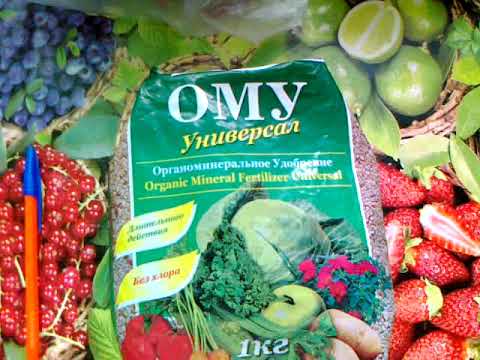 OMU fertilizer: universal, coniferous, for strawberries and potatoes