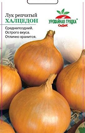 Onion Chalcedony: features of the variety, recommendations for planting