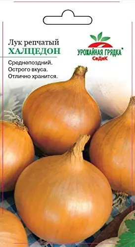 Onion Chalcedony: features of the variety, recommendations for planting