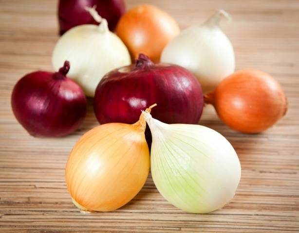 Onion preparation before planting