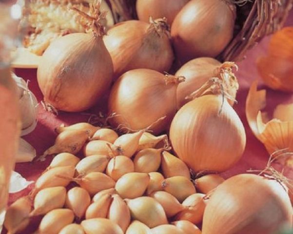 Onion Senshui: variety description + reviews