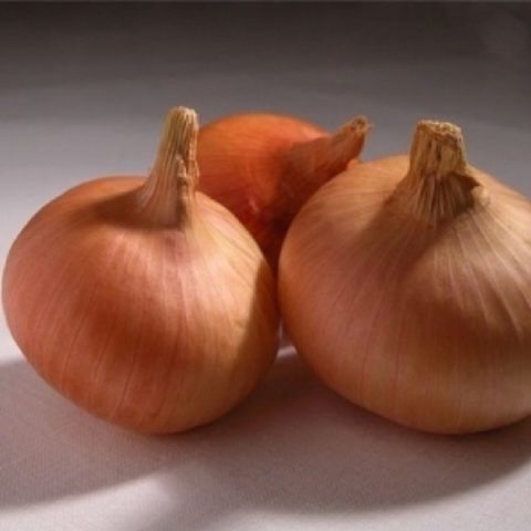 Onion Senshui: variety description + reviews