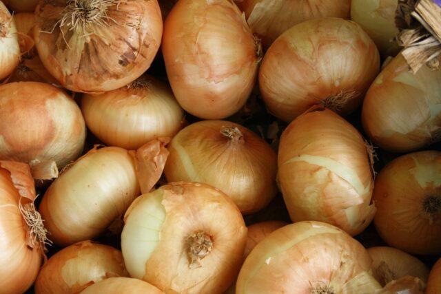 Onion sets Golden Semko F1: variety description, reviews