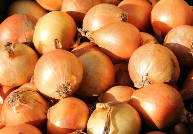 Onion sets Kupido F1: variety description, photos, reviews, when to plant