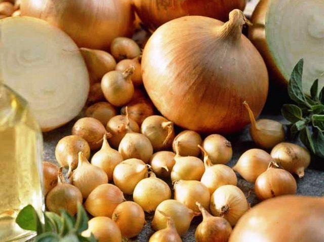 Onion sets Rumba: characteristics and description of the variety, photos, reviews