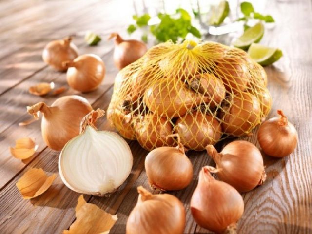 Onion sets Rumba: characteristics and description of the variety, photos, reviews