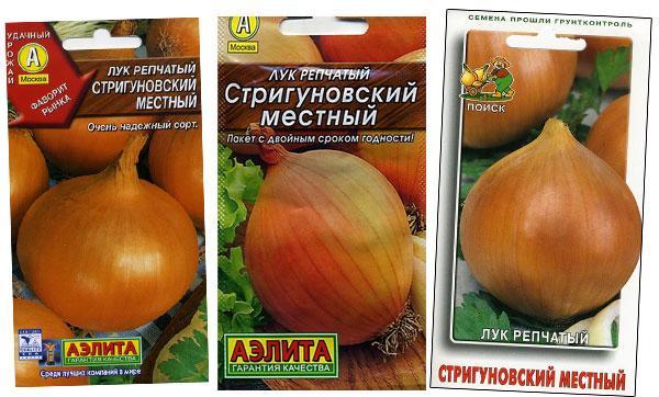 Onion sets Strigunovsky: description of the variety, planting in the spring, can it be planted before winter