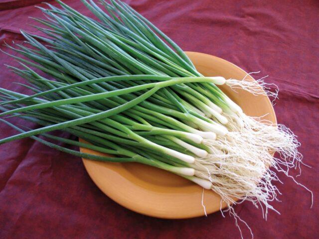 Onion sets Strigunovsky: description of the variety, planting in the spring, can it be planted before winter