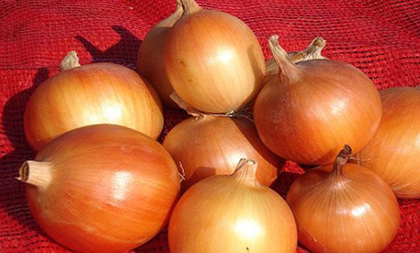 Onion sets Strigunovsky: description of the variety, planting in the spring, can it be planted before winter