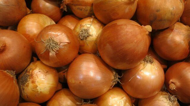 Onion sets Strigunovsky: description of the variety, planting in the spring, can it be planted before winter