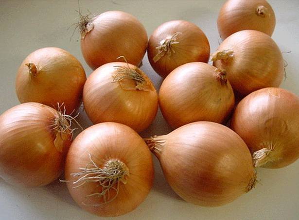 Onion varieties for winter planting