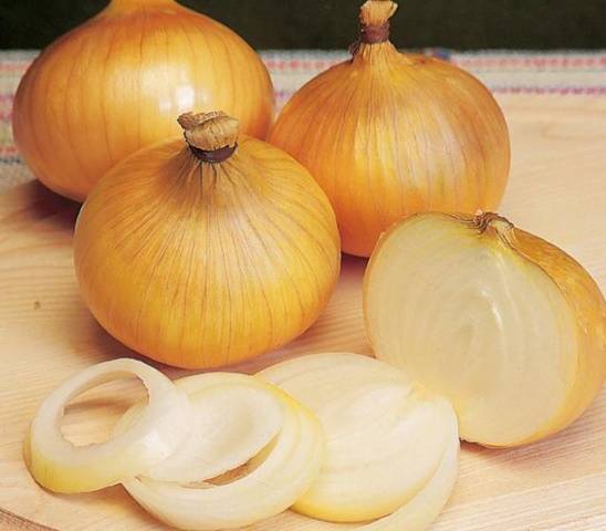 Onion varieties for winter planting