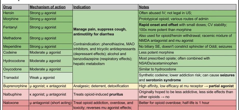 Opioids &#8211; pain, indications, intoxication, addiction. What are the types of opioids?