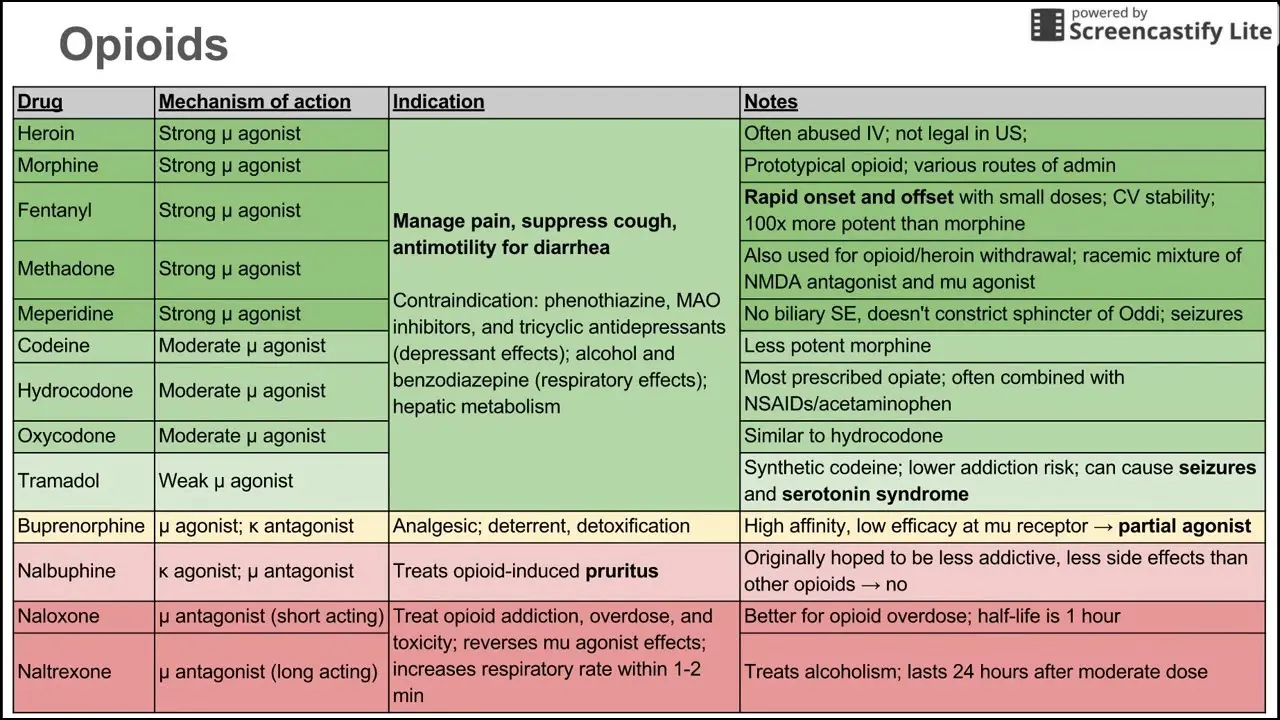 Opioids &#8211; pain, indications, intoxication, addiction. What are the types of opioids?