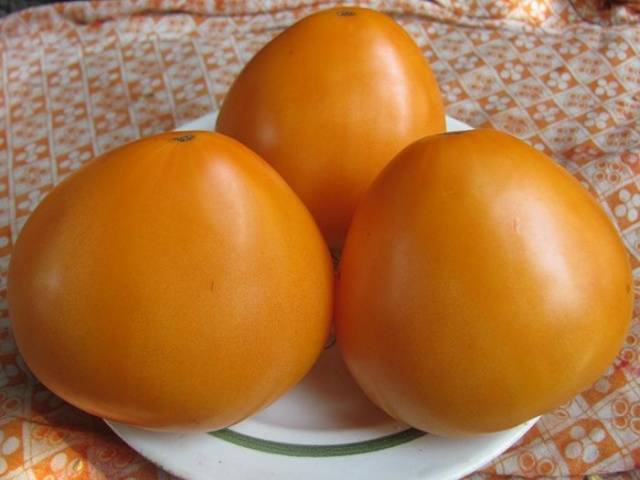 Orange Heart Tomato: reviews, photos