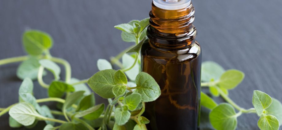 Oregano oil and its properties