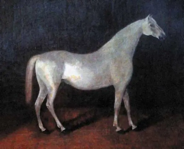 Oryol horse breed