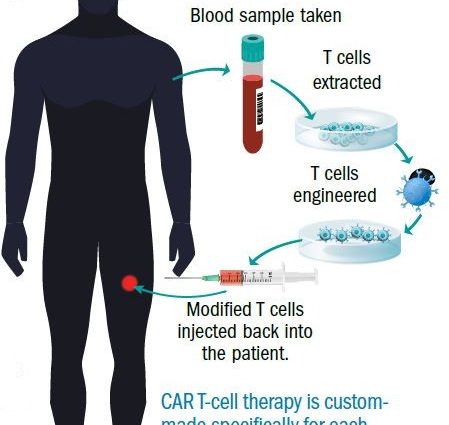 Our T cells can kill cancer