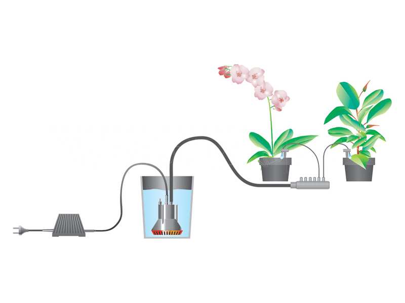 Overview of micro-drip irrigation systems for greenhouses - plodovie.ru