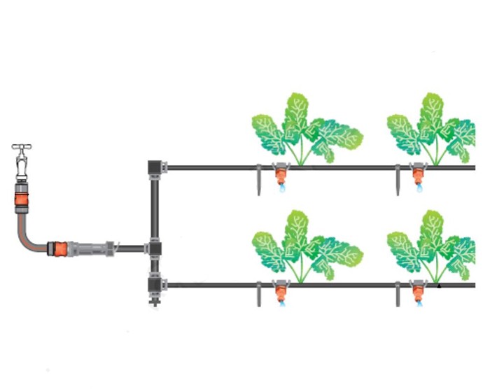 Overview of micro-drip irrigation systems for greenhouses - plodovie.ru