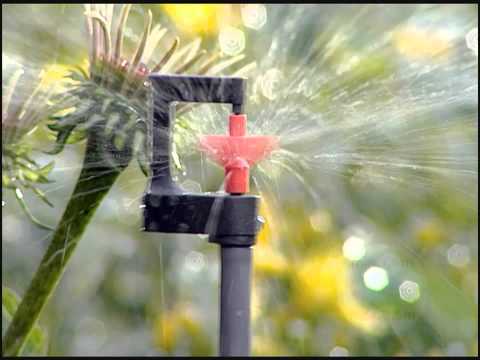 Overview of micro-drip irrigation systems for greenhouses - plodovie.ru