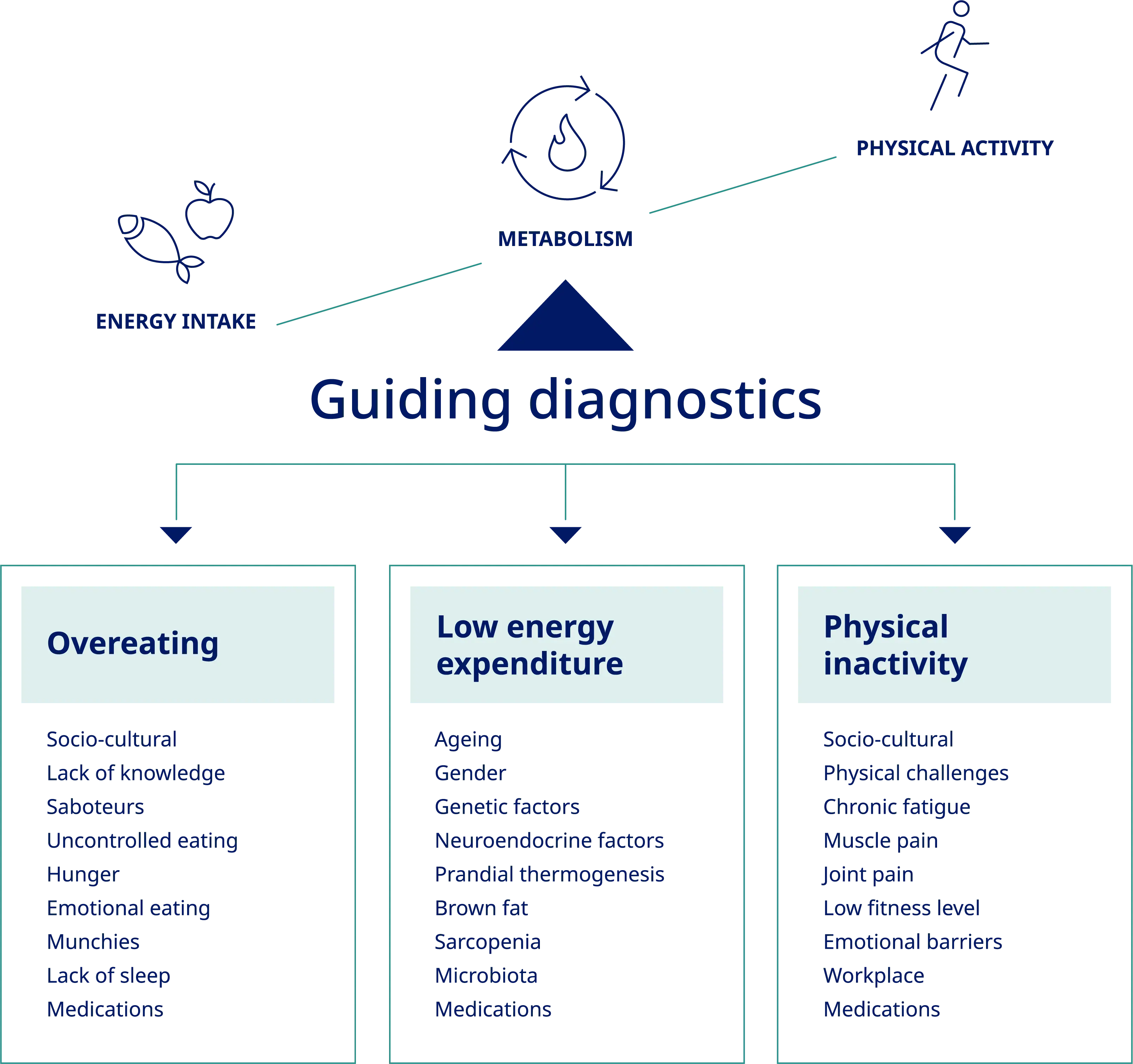 Overweight and obesity &#8211; causes, division, diagnostics