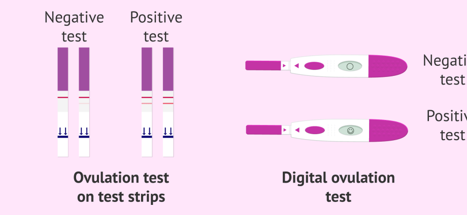 Ovulation test &#8211; action, application, types. What is it about?