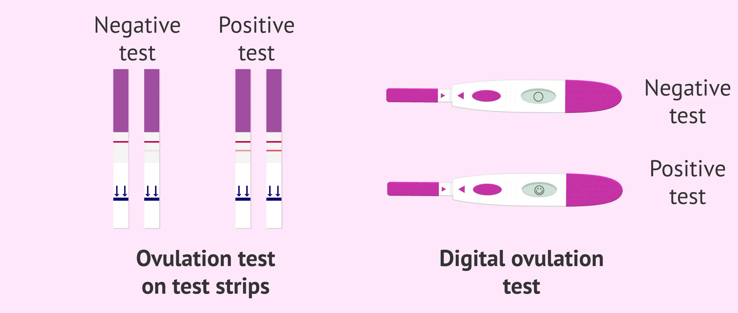 Ovulation test &#8211; action, application, types. What is it about?